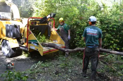 tree services Guy